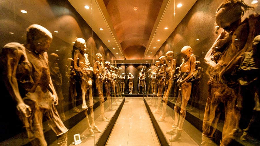 Museo de las Momias (Year-Round)