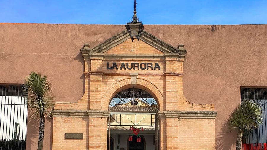 Fábrica La Aurora (Year-Round)