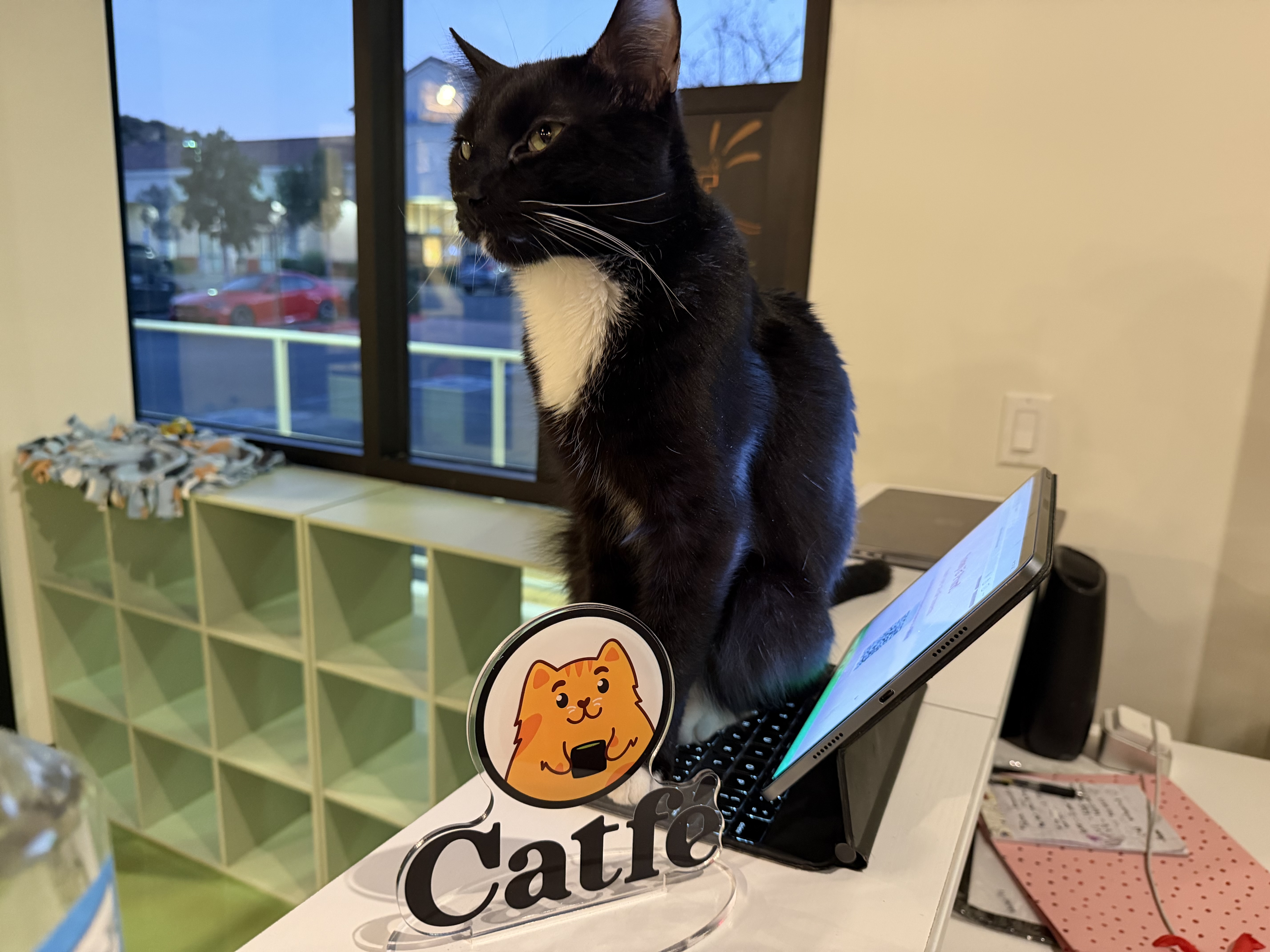 Bruce making sure waivers are signed 😹 