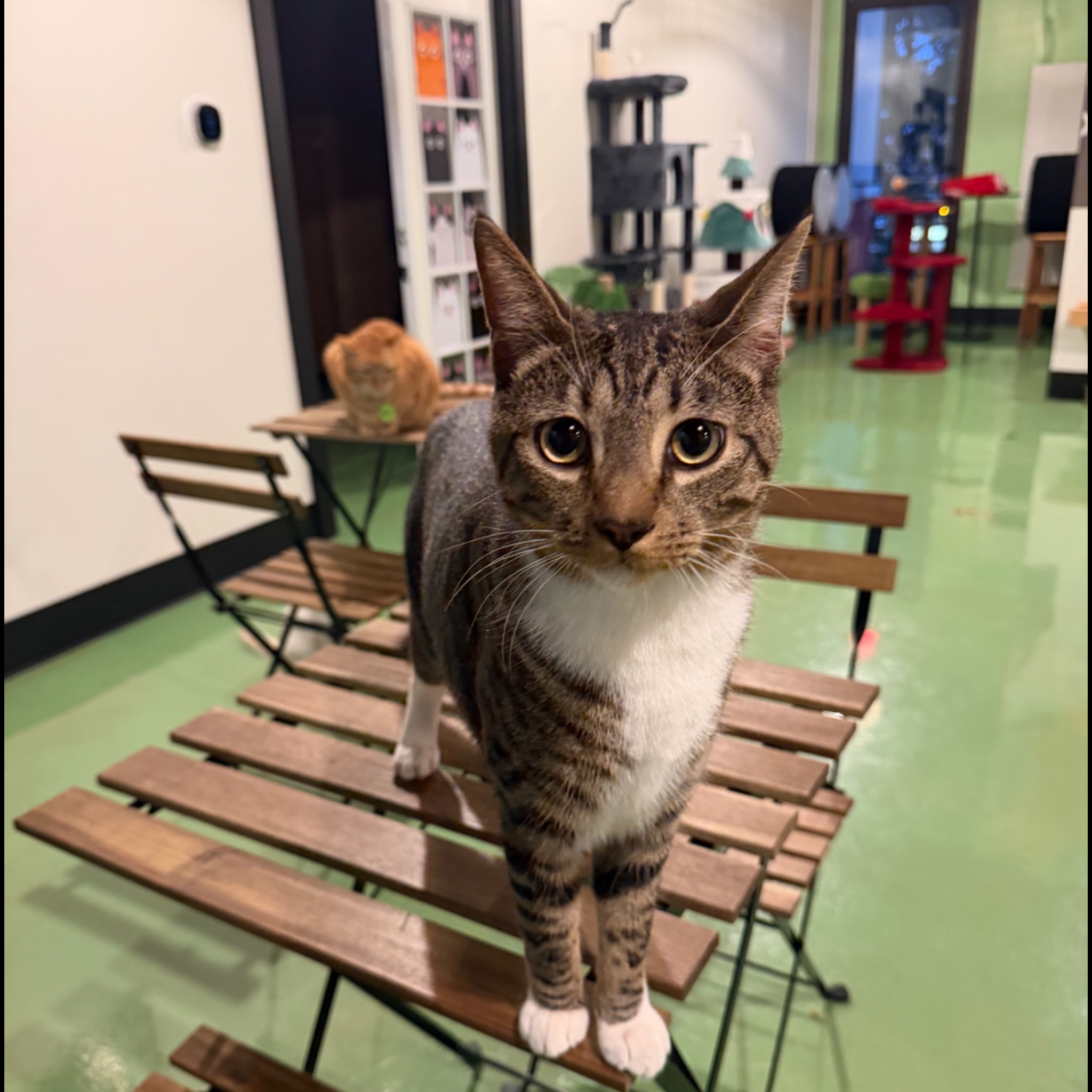 Jupiter living his best life