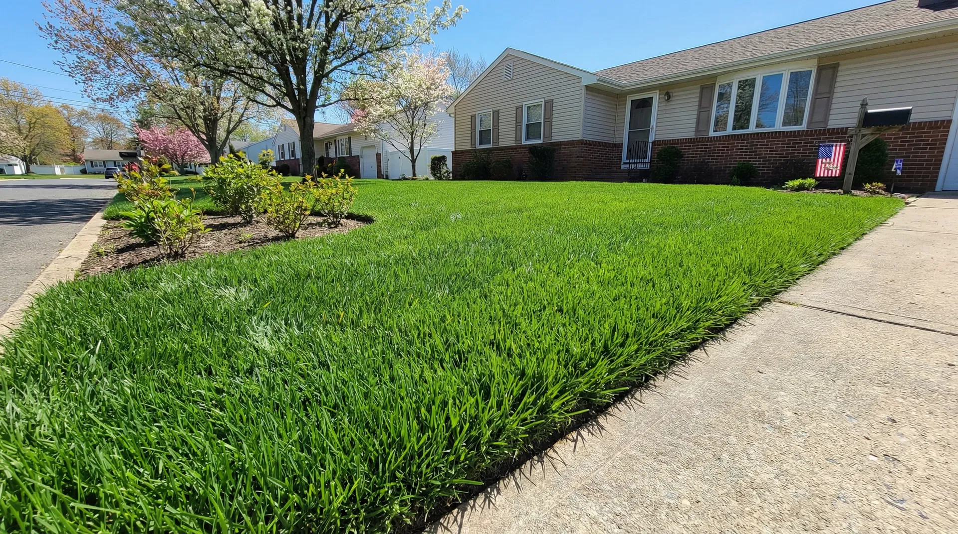 Beautiful green lawn after Tall Fescue Blue sod installation by Ocean County Sod, a family-owned sod company in Ocean County NJ