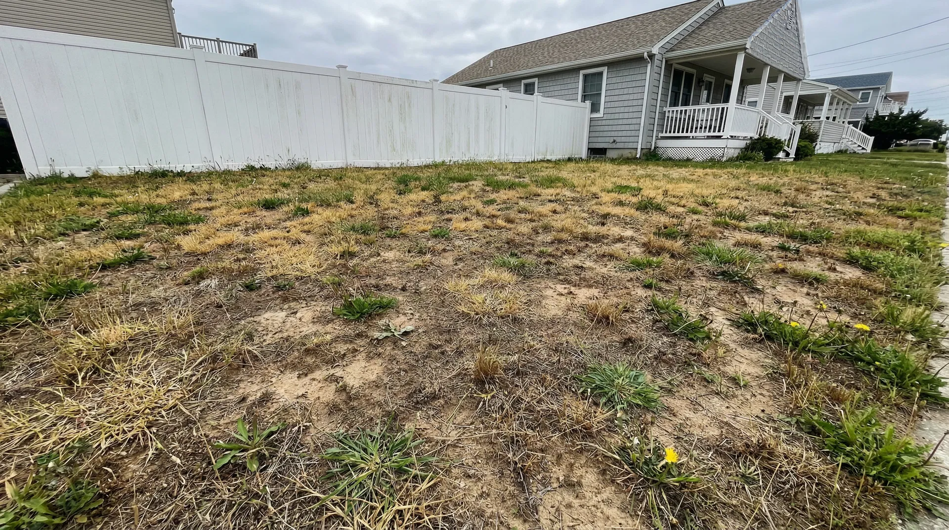 Dead patchy lawn at residential home in Avon-by-the-Sea NJ before professional sod installation - sandy coastal soil with bare spots and weeds on Lincoln Avenue