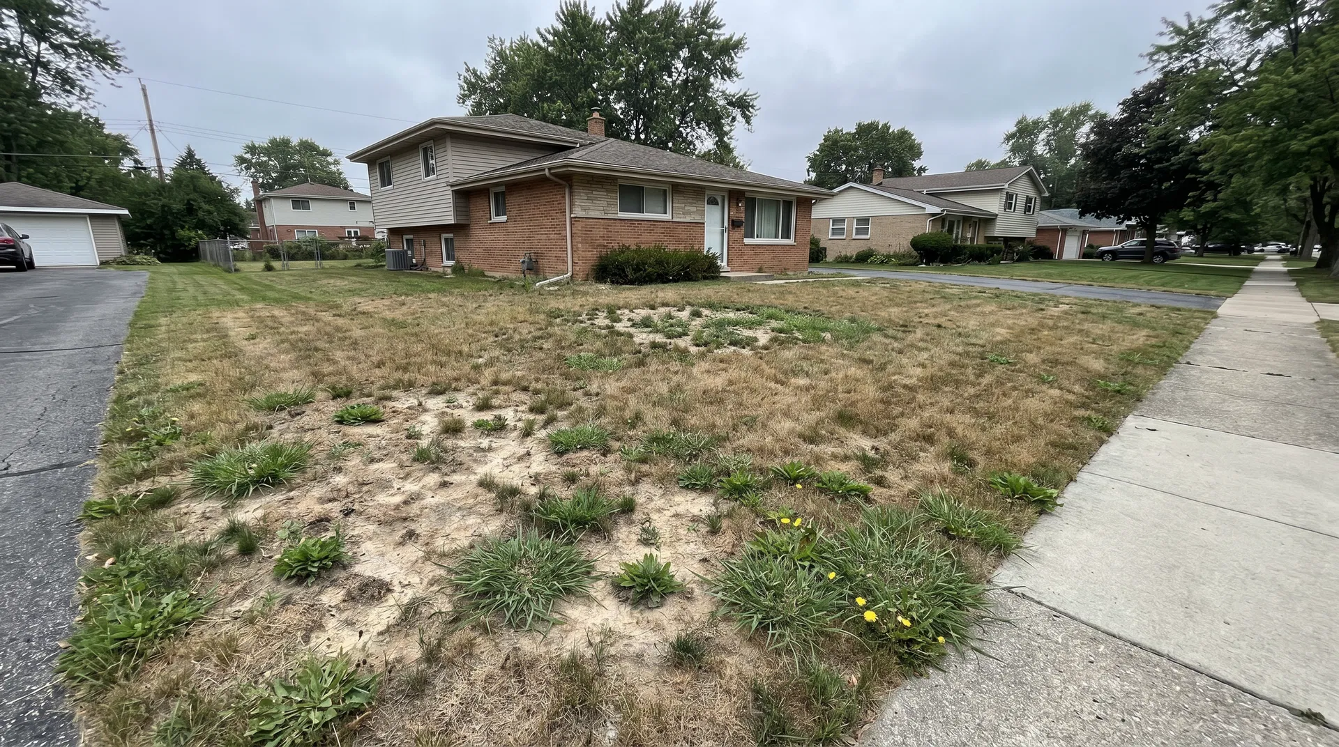Dead patchy lawn with crabgrass and bare spots before sod installation in Brick Township, Ocean County NJ