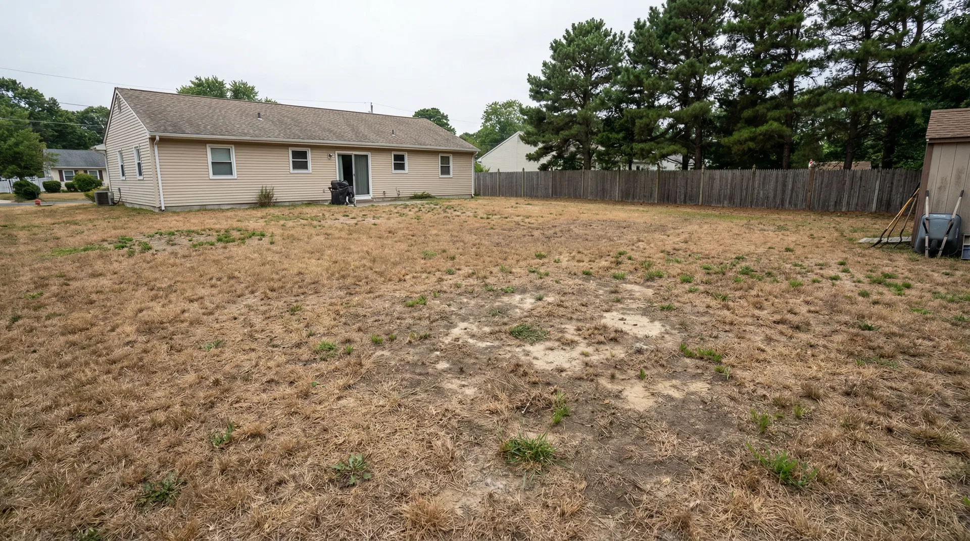 Large dead brown lawn at Ocean County NJ home needing complete sod replacement - typical backyard before professional installation