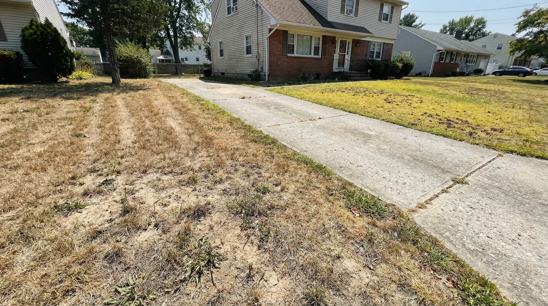 Split lawn showing dormant brown ryegrass and yellowing zoysia grass at New Jersey home - common grass types that fail in NJ climate