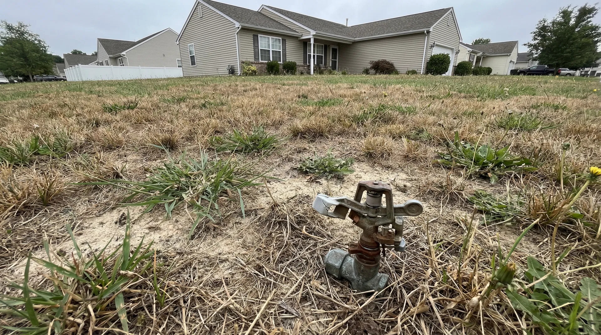 Dead brown lawn with broken sprinkler head before sprinkler system installation at a Jersey Shore home in Ocean County NJ