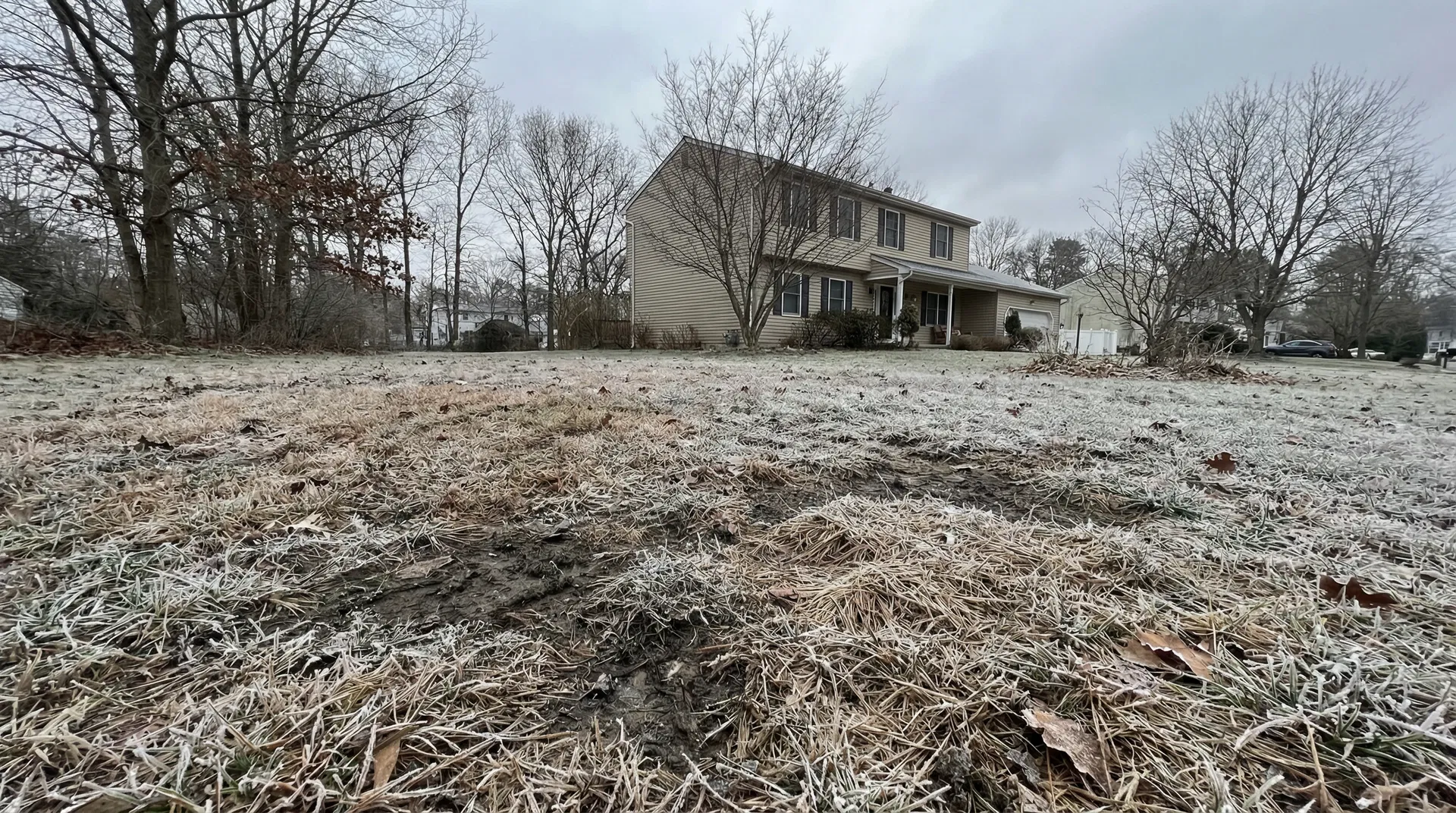 Frozen dormant lawn with frost and bare patches during winter in Ocean County, New Jersey