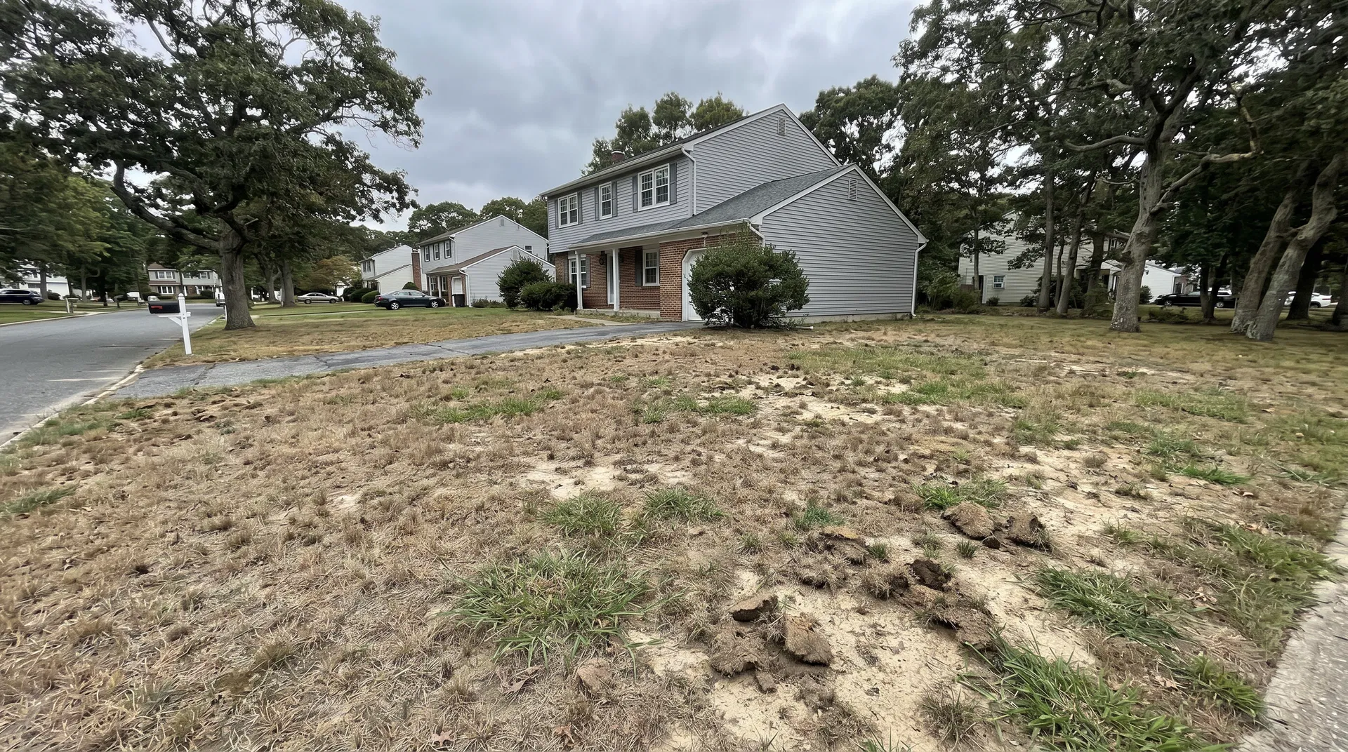 Damaged dying lawn with grub damage and bare patches before sod installation in Toms River, Ocean County NJ