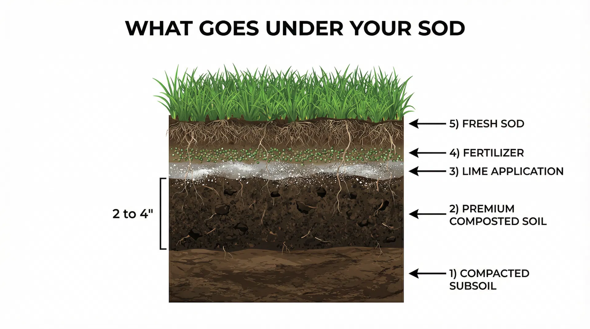 Cross-section diagram showing the 5 layers of a premium sod installation: compacted subsoil, composted soil, lime, fertilizer, and fresh sod