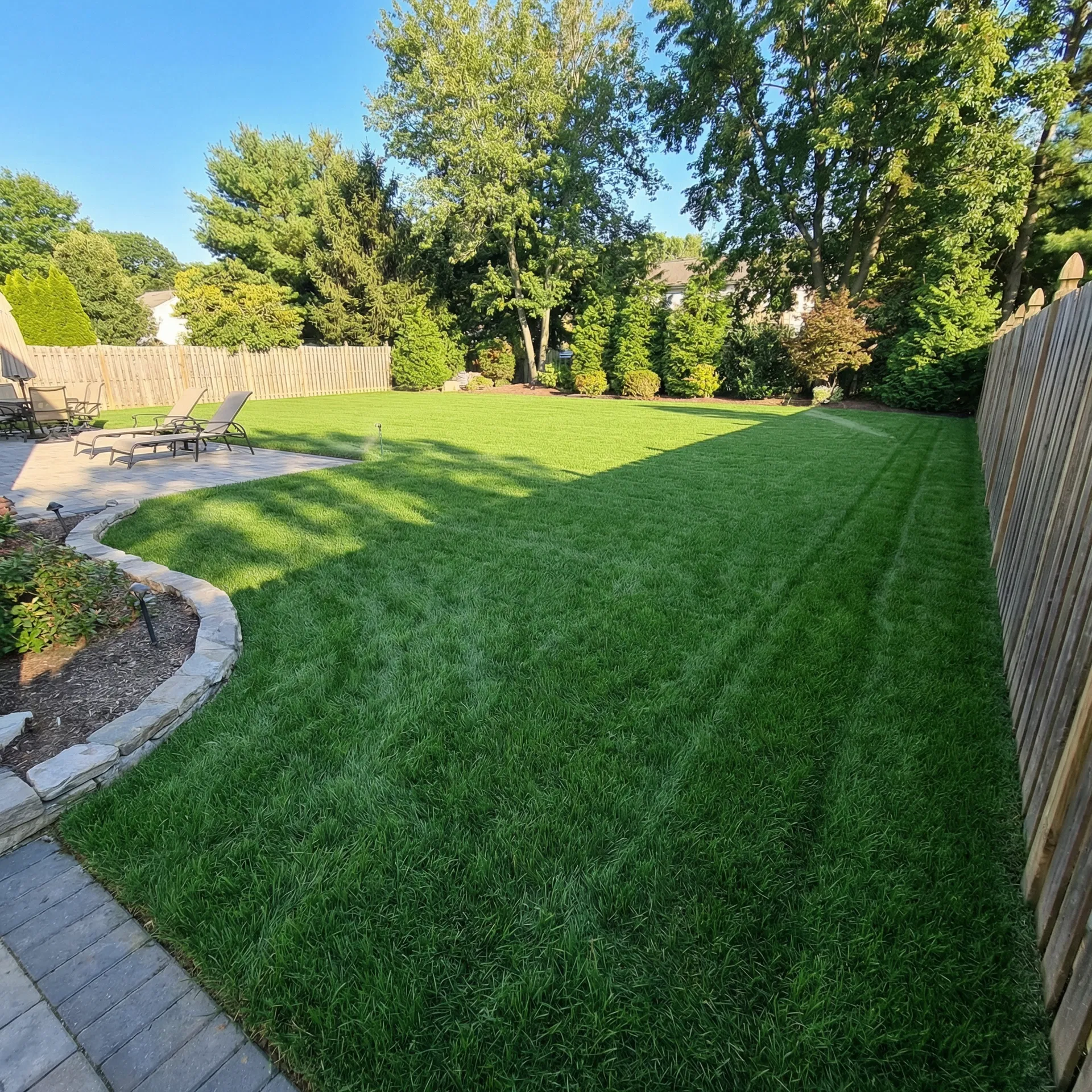 Professional sod installation in Avon-by-the-Sea NJ - Lincoln Avenue Tall Fescue Blue