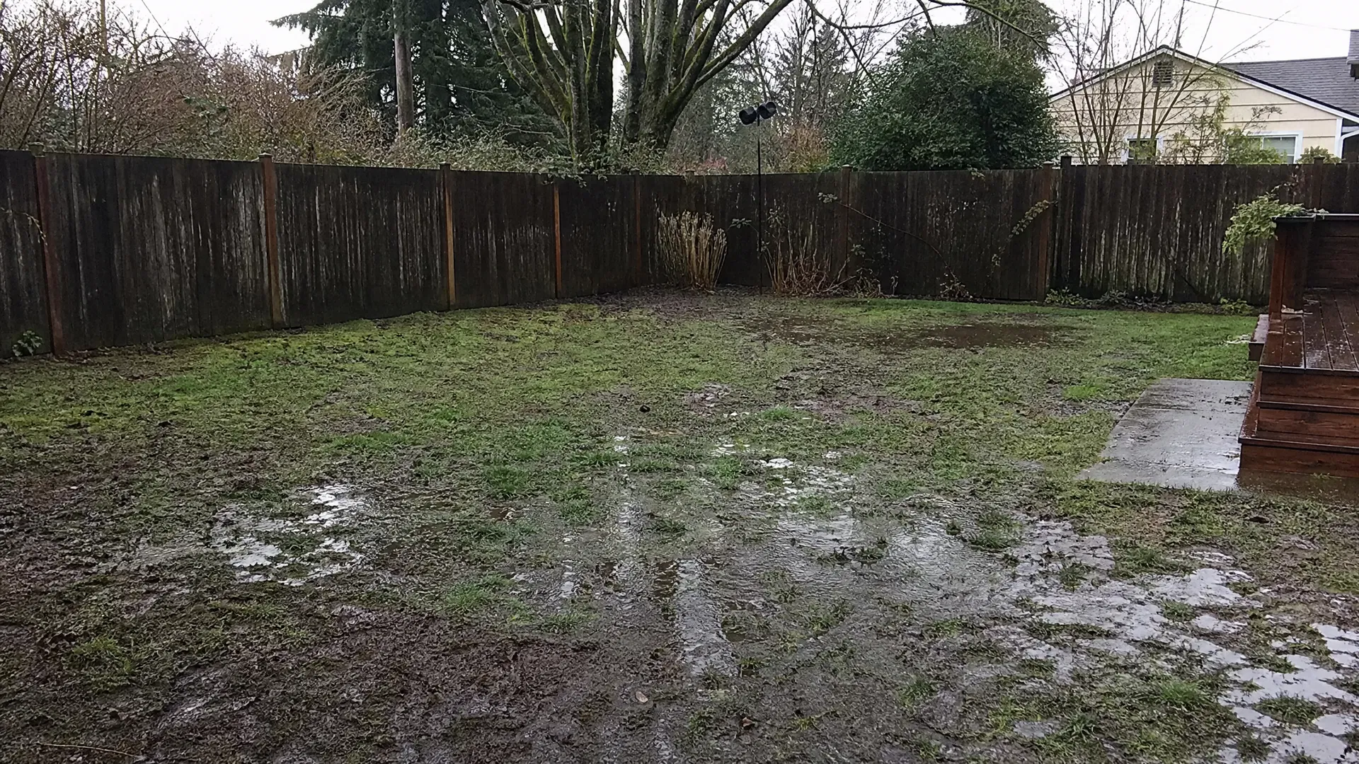 Soggy yard before drainage installation