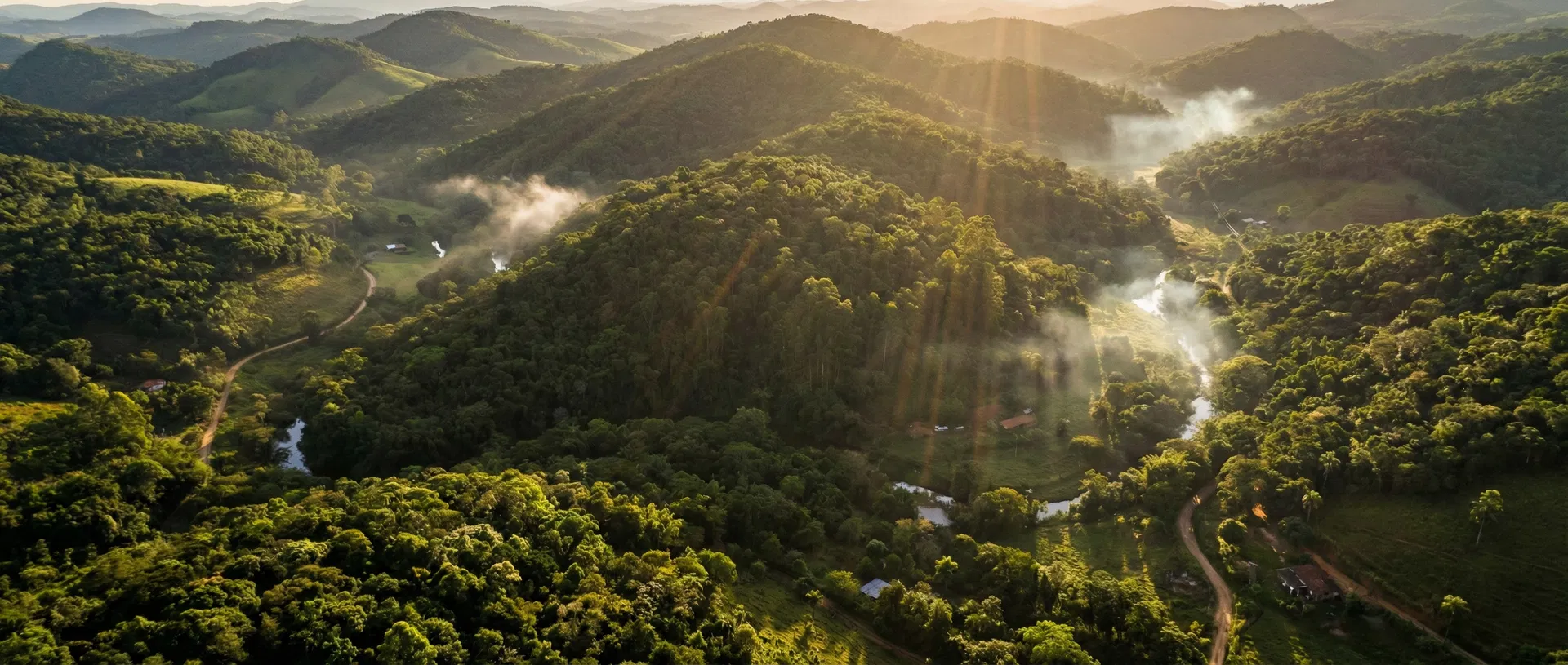 Serra do Japi - Mata Atlântica