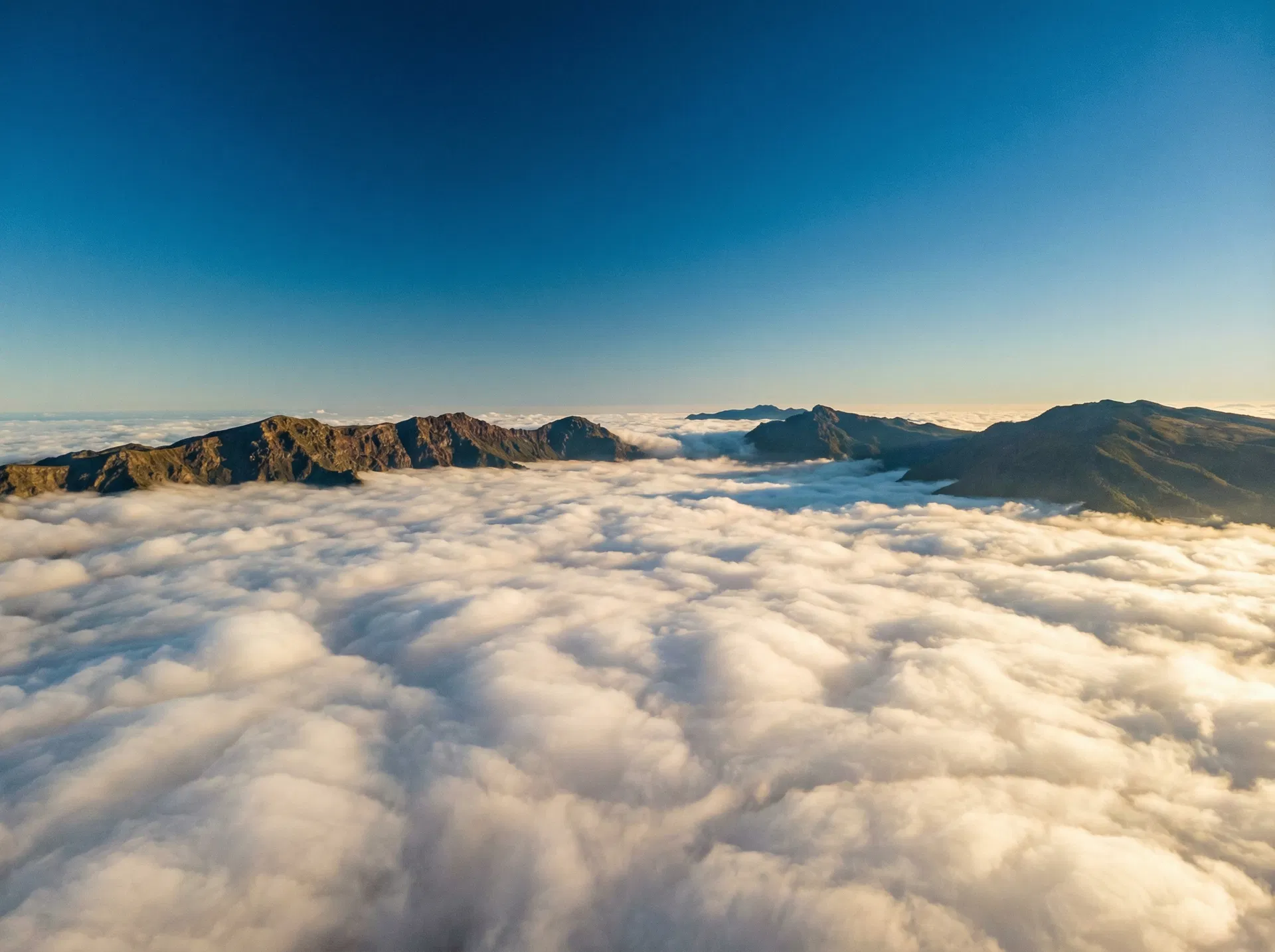Sunlit stone path winding through a lush tropical forest — Dharma Path Package