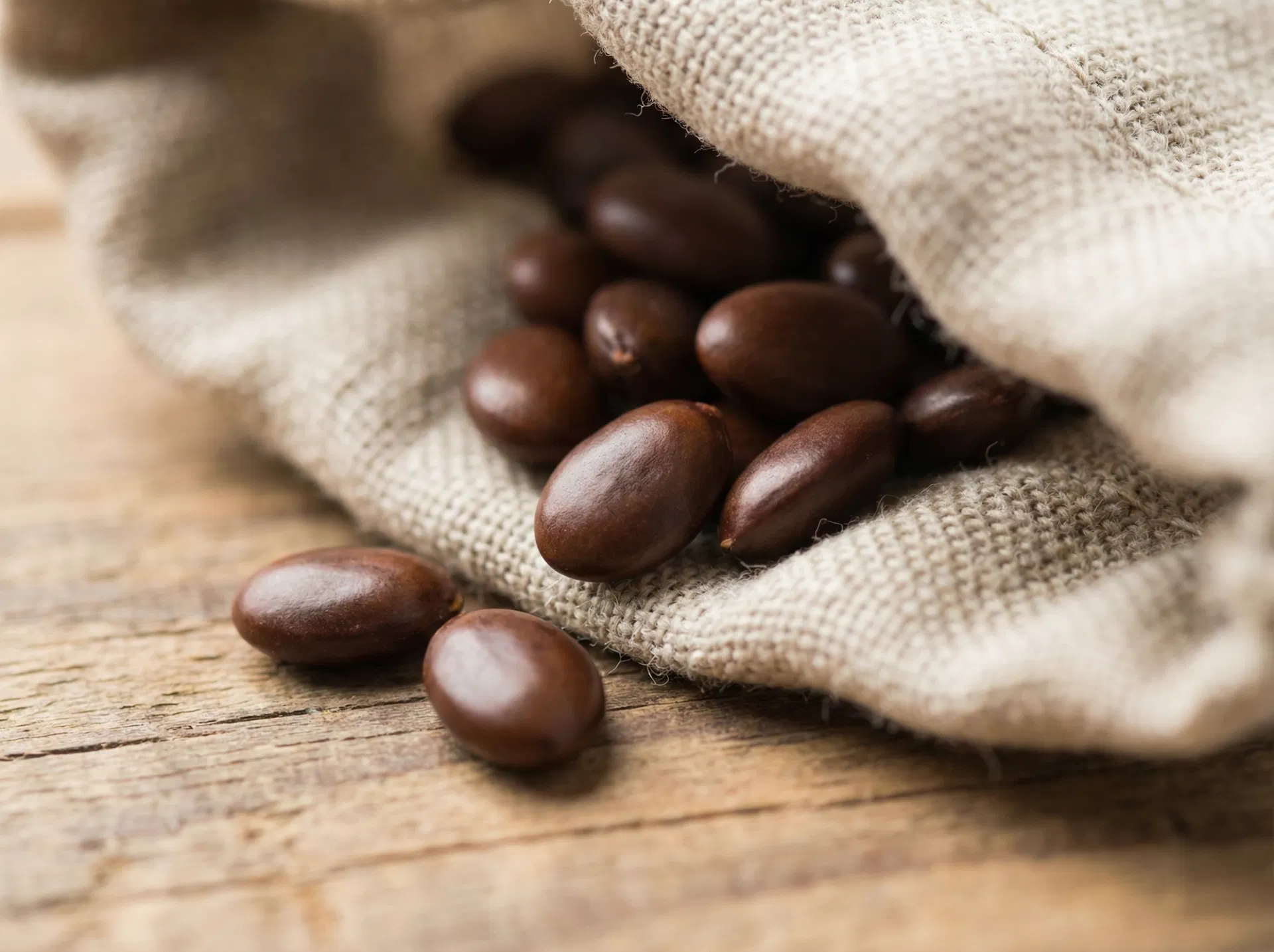 Bulk carob seeds close-up