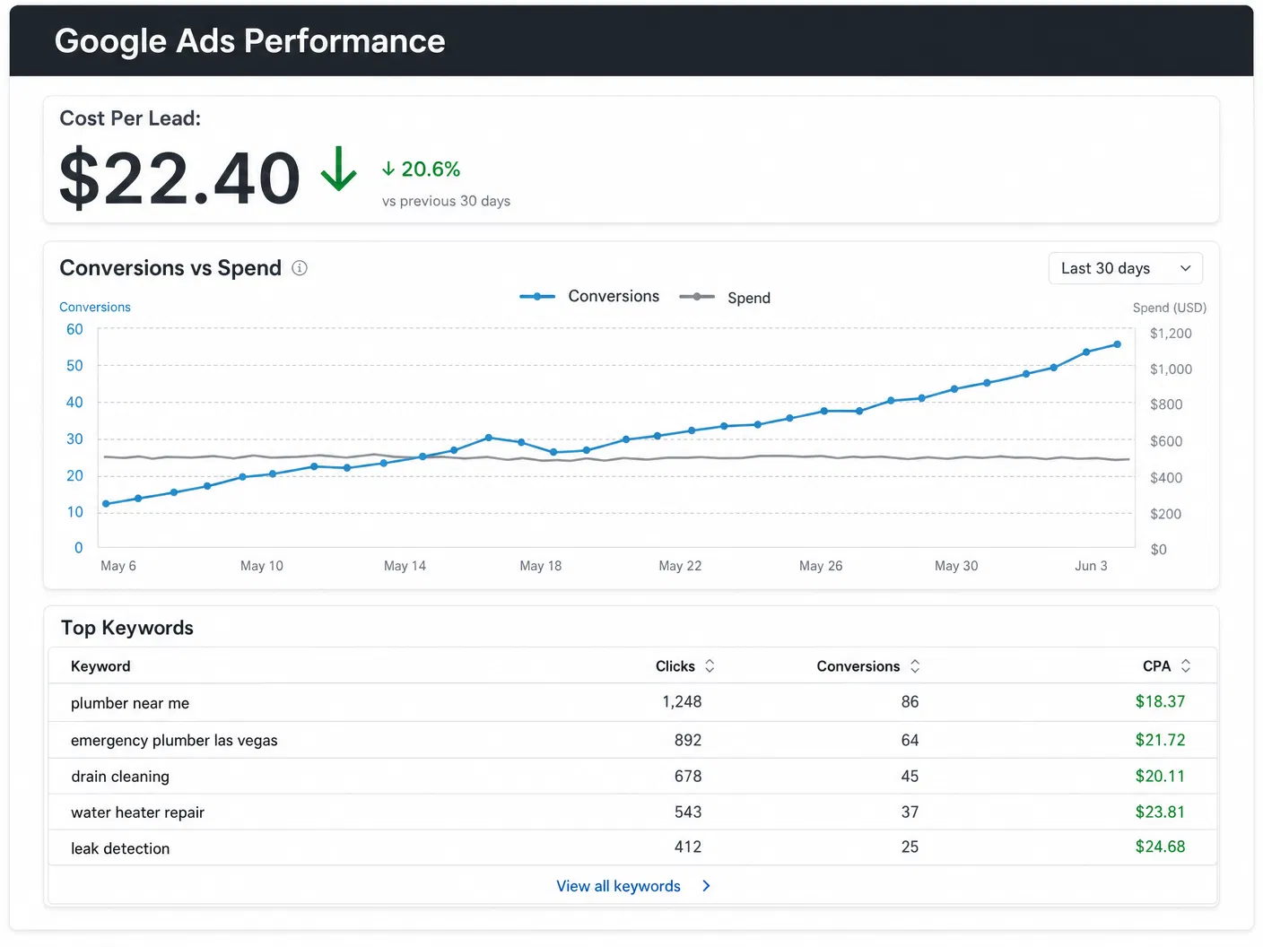 Google Ads performance dashboard showing conversions and cost per lead