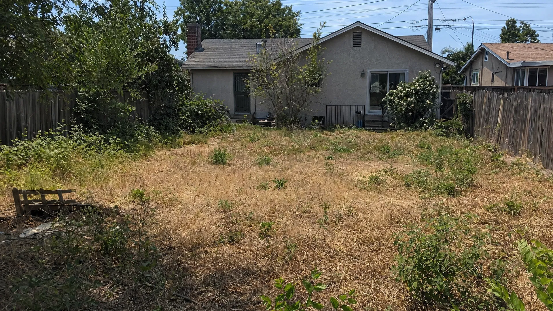 Modern Backyard Transformation - Before