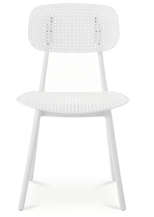 Plastic Dining Chair
