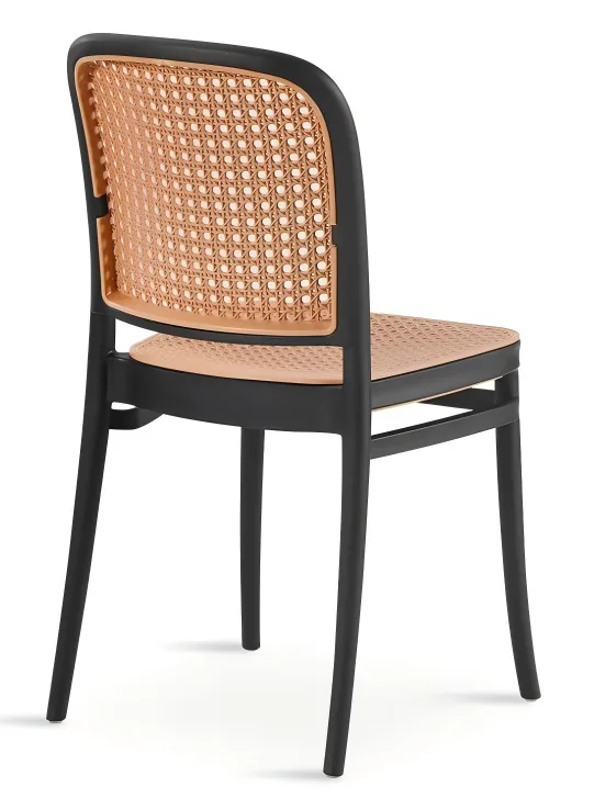 Plastic Dining Chair
