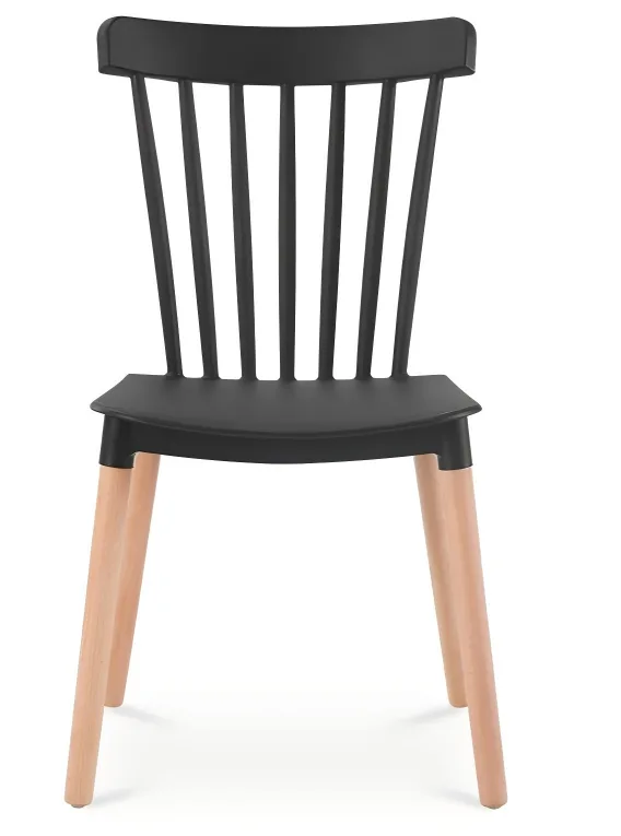 Plastic Dining Chair