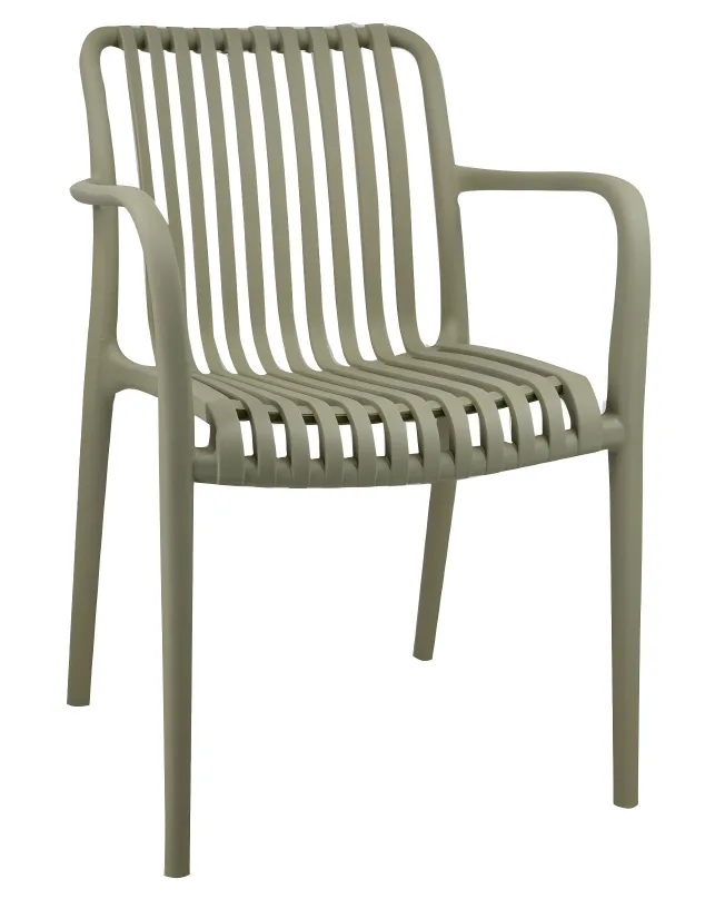 Plastic Dining Chair