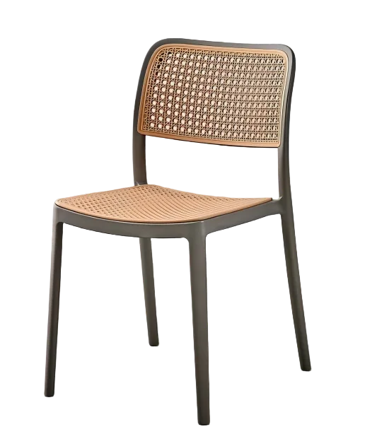 Plastic Dining Chair