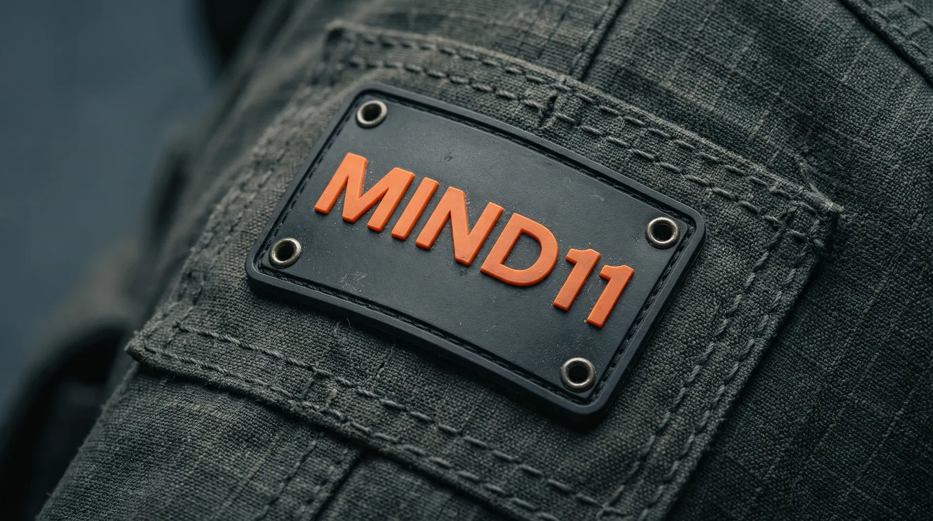 MIND11 cross-discipline unity patch