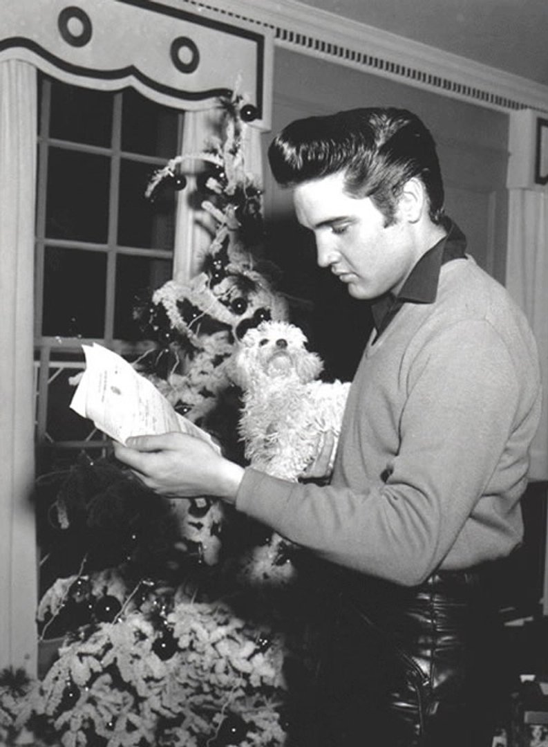 Elvis Presley photo