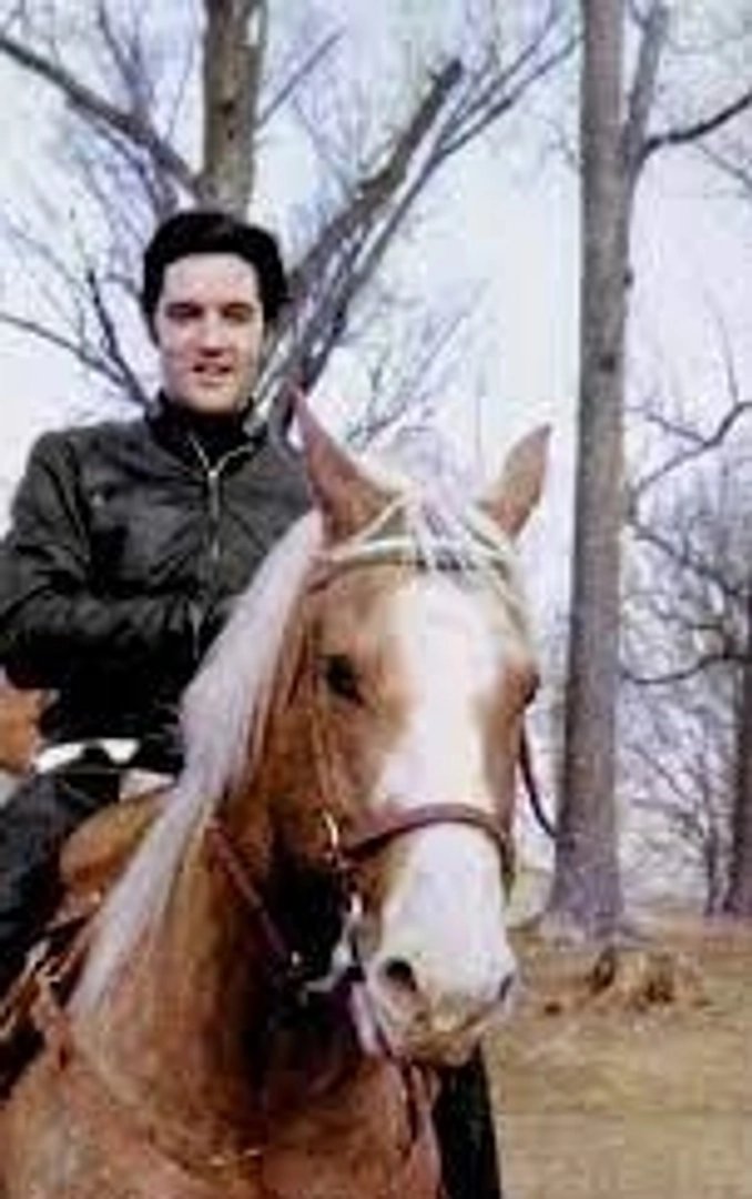 Elvis Presley photo