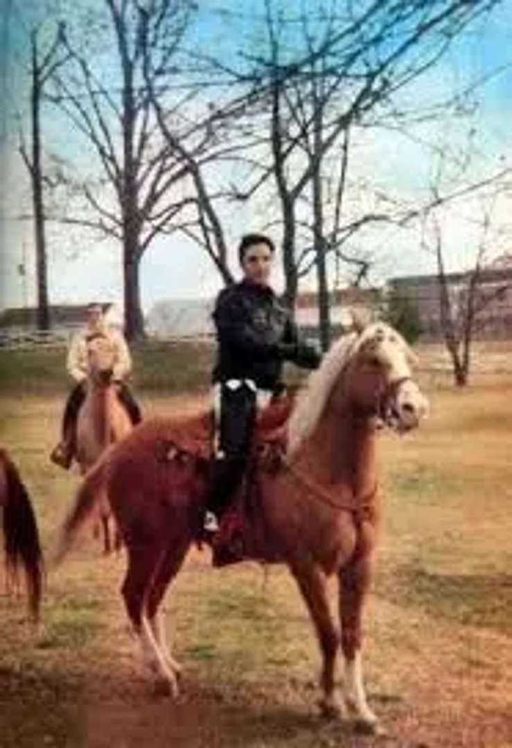 Elvis Presley photo