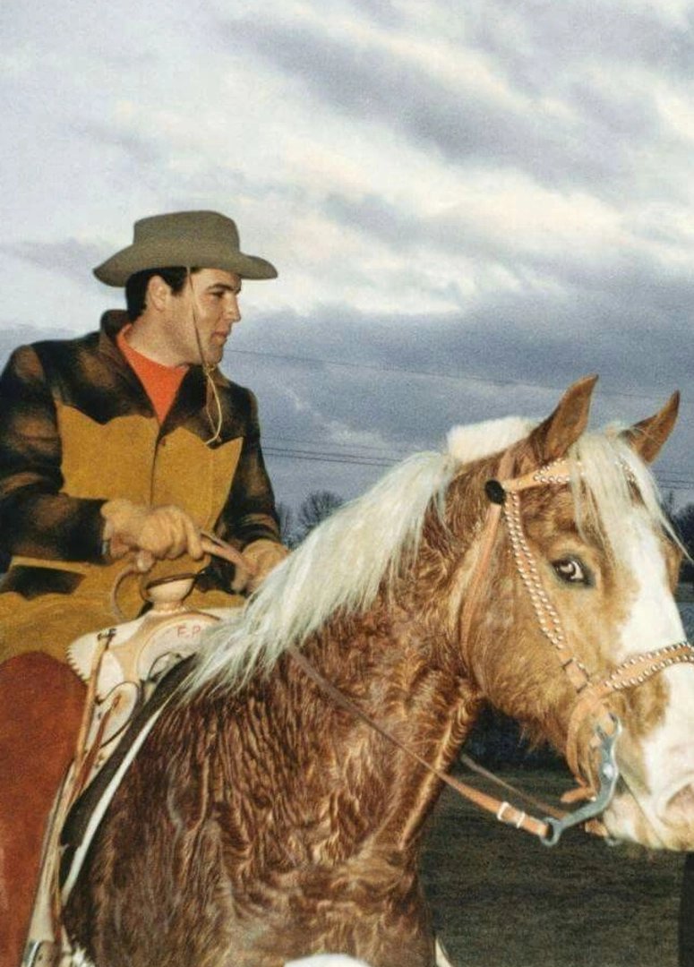 Elvis Presley photo