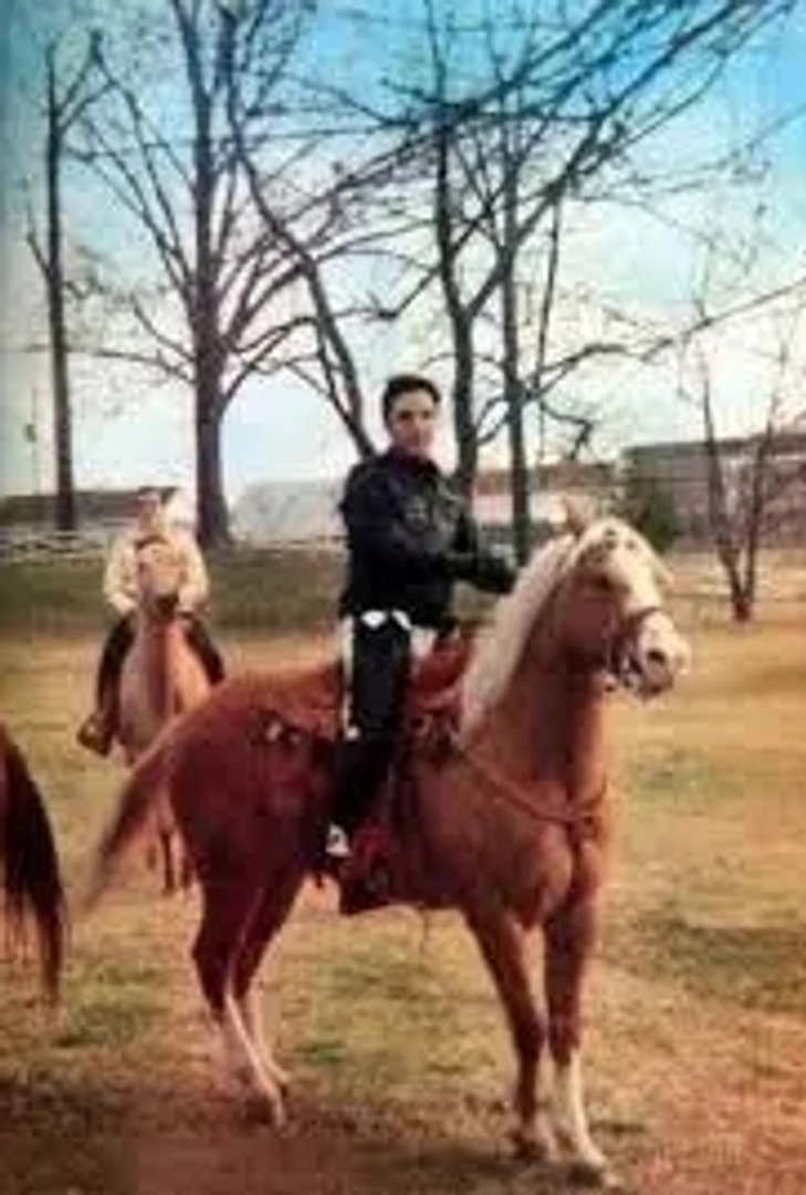 Elvis Presley photo