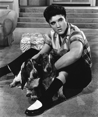 Elvis Presley photo