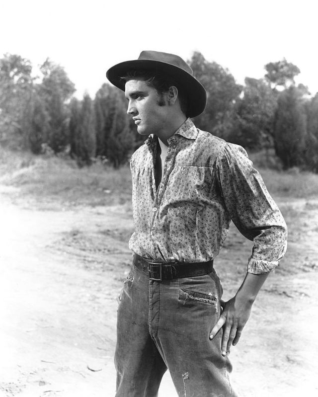 Elvis Presley photo