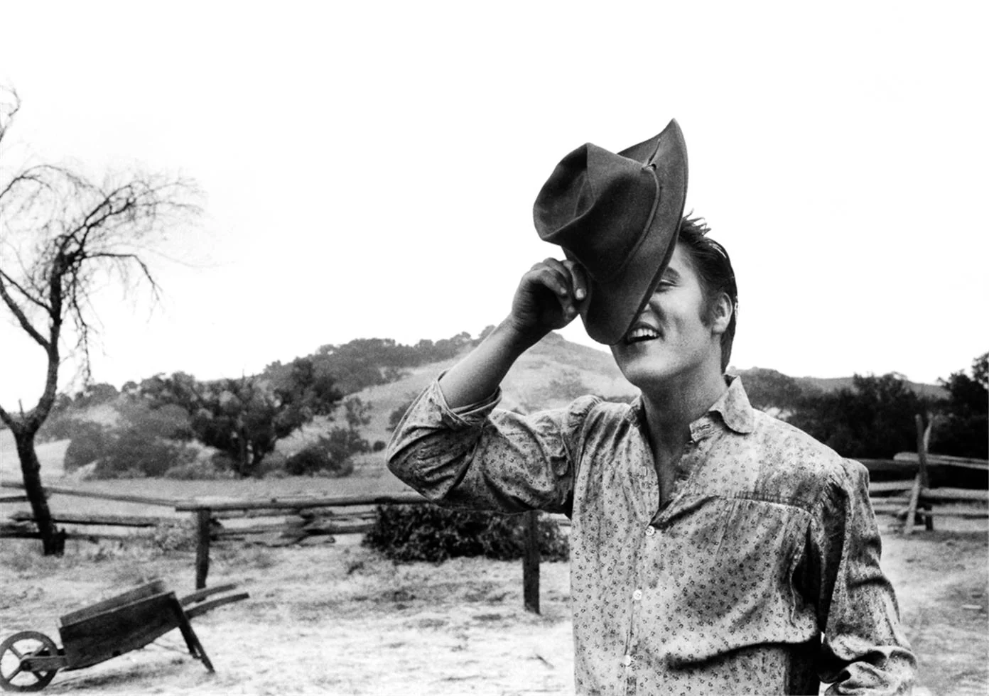 Elvis Presley photo