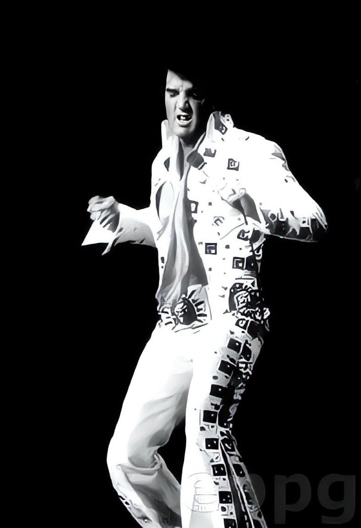 Elvis Presley photo