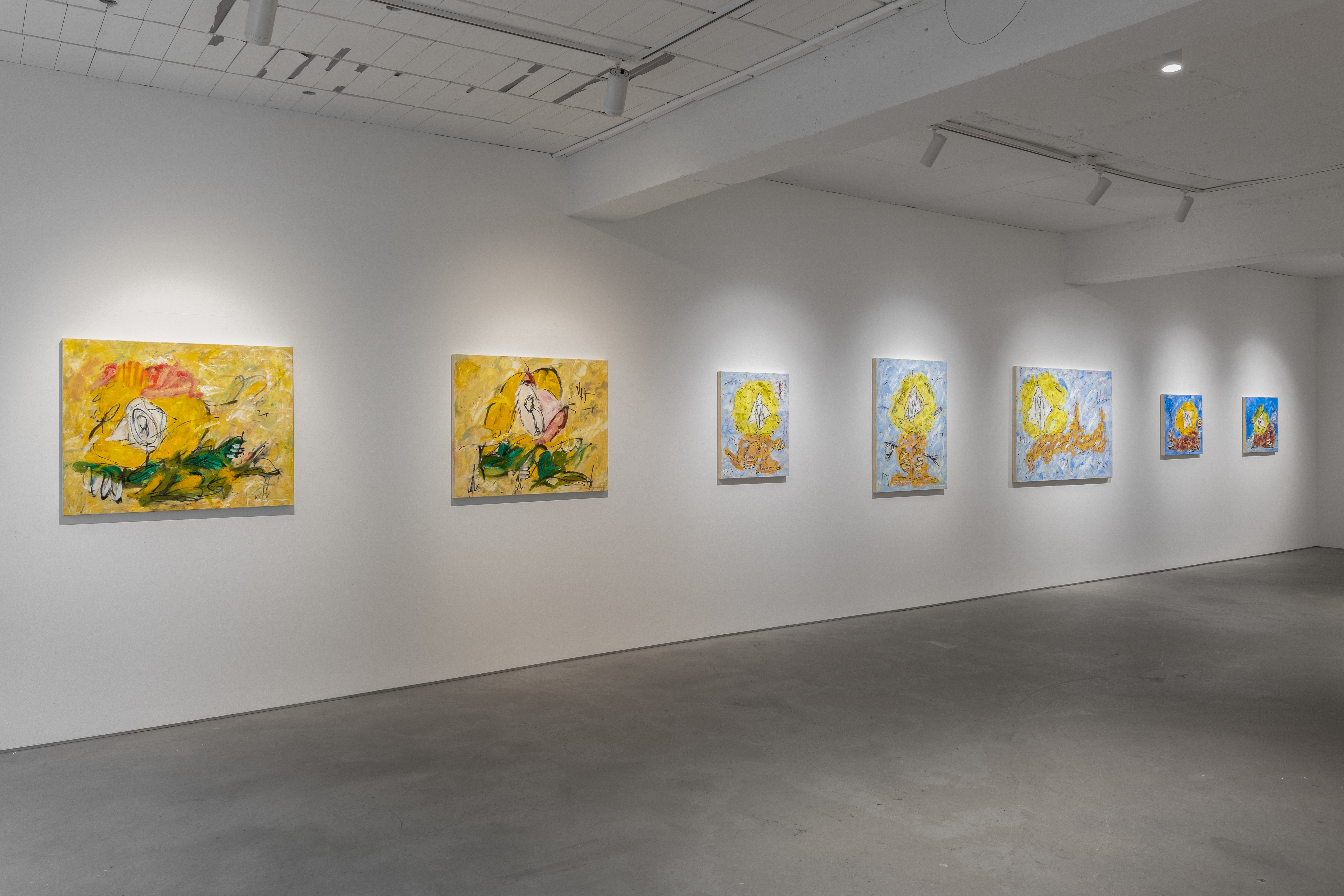 Installation view