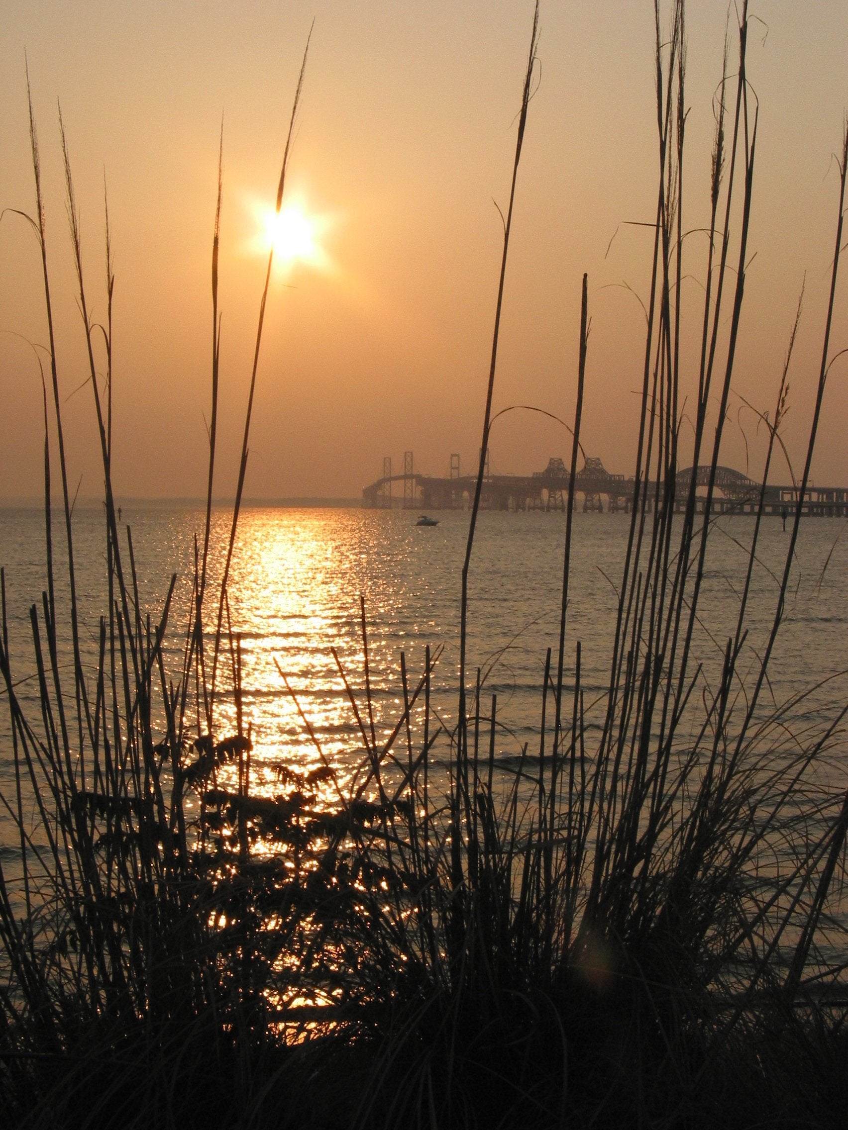 Timothy Joseph Mummert