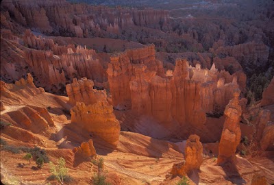 Weible Law Firm, PLLC