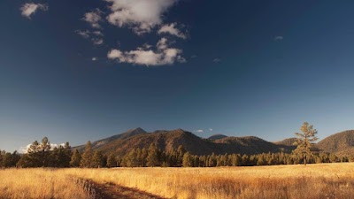 Antol and Hance P.C.