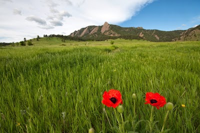 Colorado Bankruptcy Law Group, LLC