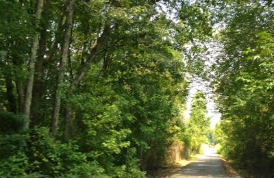 Attorney Malinda M. Pennington, Fresh Start SC