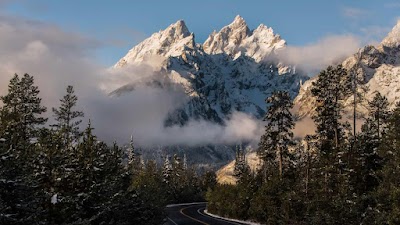 Beard St Clair Gaffney Attorneys