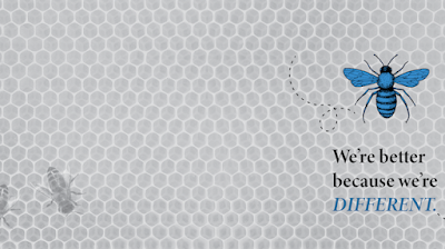 Blue Bee Bankruptcy Law