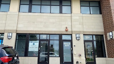 Law Offices of David Freydin Ltd.