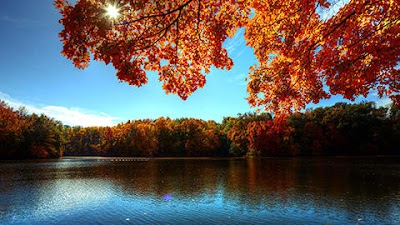 Deitz, Shields, Freeburger & Durbin, LLP