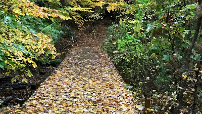 Law Office Of Lipman & White