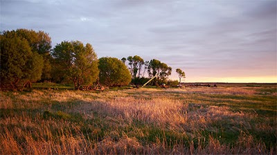 Fleming, DuBois & Fleming P.L.L.P.