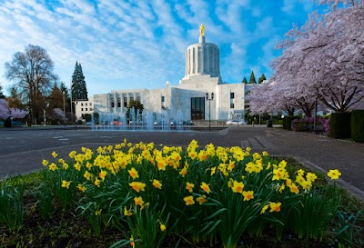 Kent Anderson Law Office