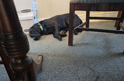 Lewey C. Hammett, Jr., PA