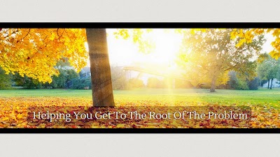 Gipson, Norman & Root